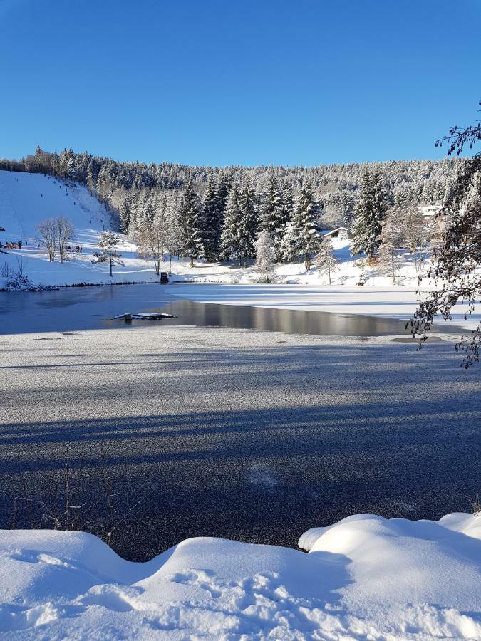 Апартаменты Jules Traum Im Schwarzwald Herrischried Экстерьер фото