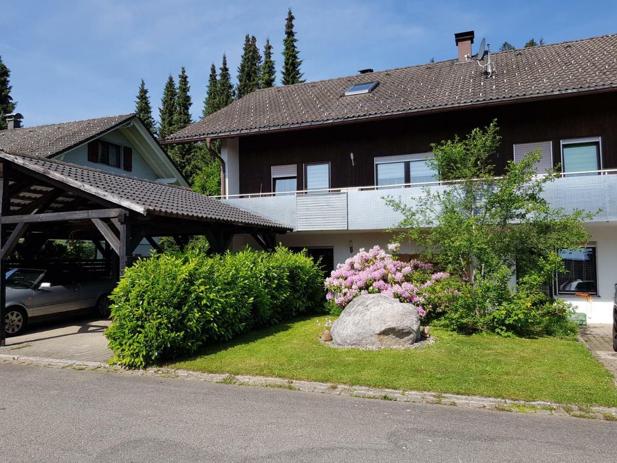 Апартаменты Jules Traum Im Schwarzwald Herrischried Экстерьер фото