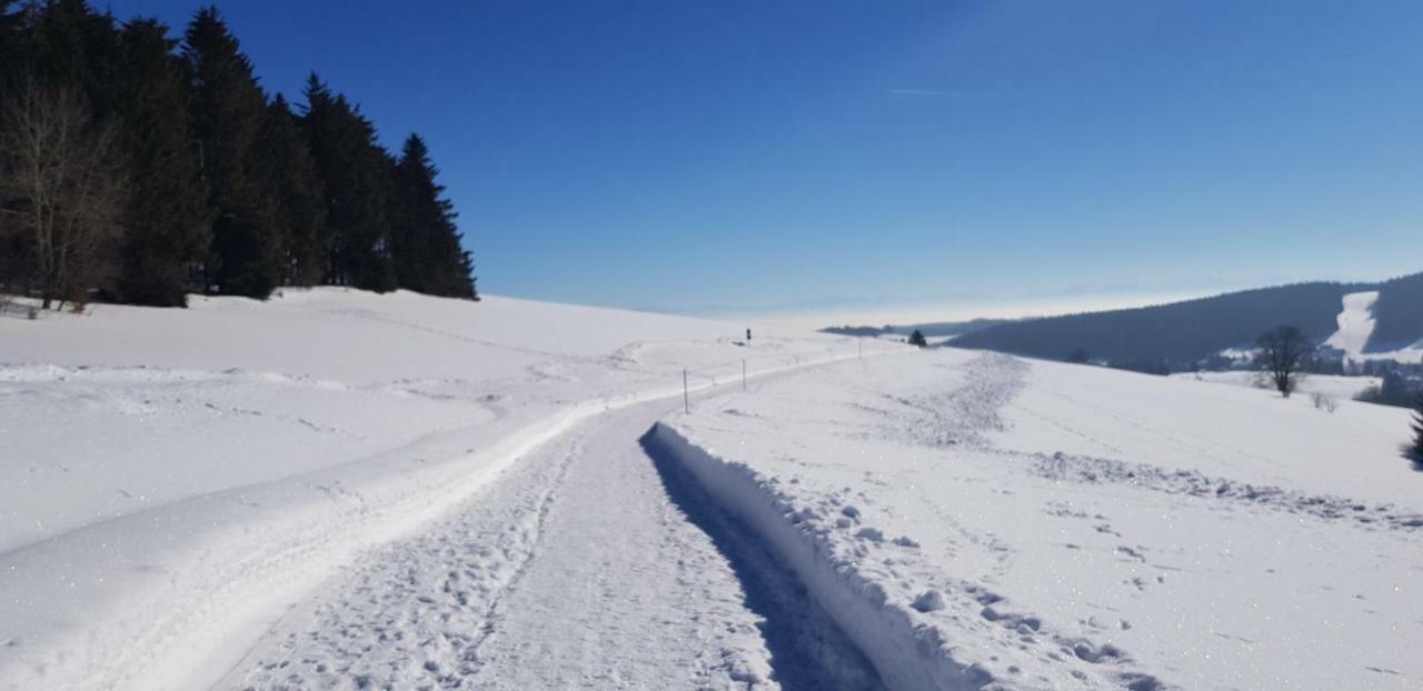 Апартаменты Jules Traum Im Schwarzwald Herrischried Экстерьер фото