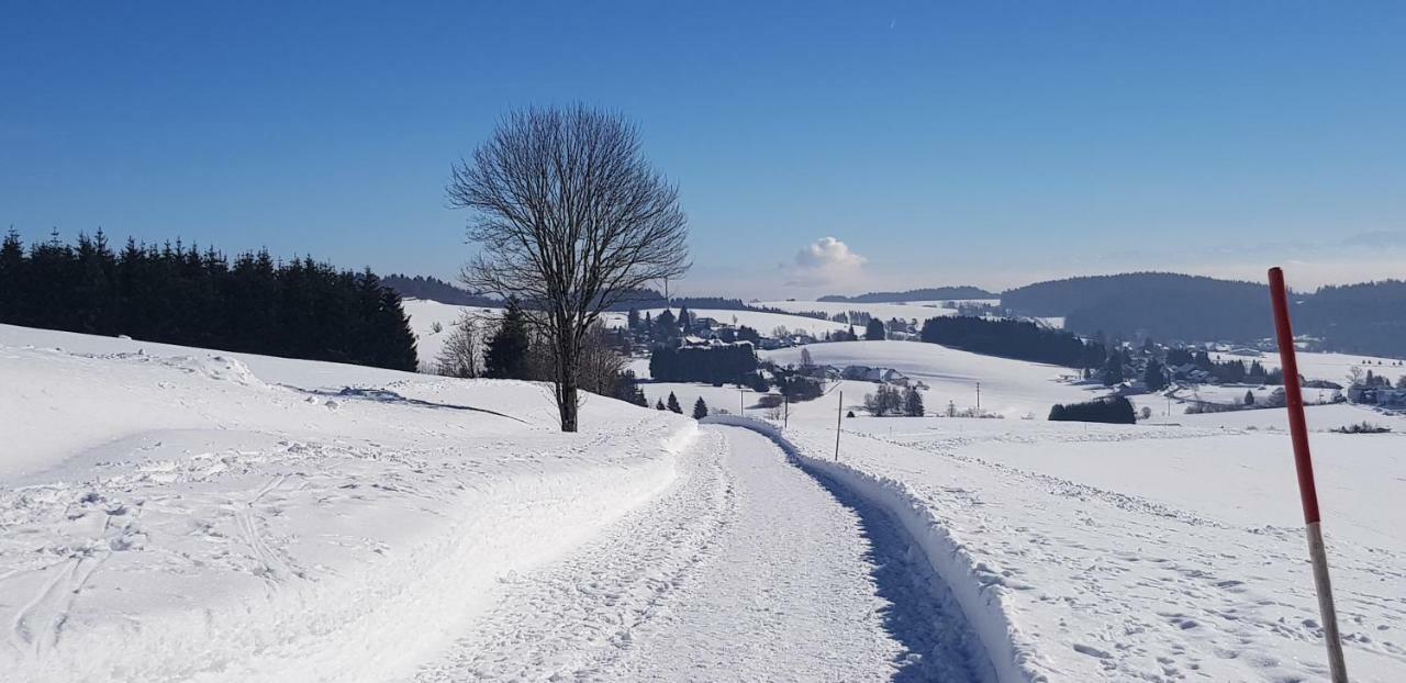 Апартаменты Jules Traum Im Schwarzwald Herrischried Экстерьер фото
